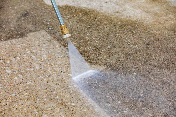 Best Animal Enclosure Cleaning  in Swifton, AR